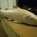 YAKIFI001